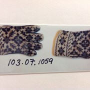Cover image of Winter Gloves